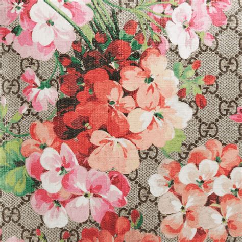 gucci floral print blouse|gucci floral print wallpaper.